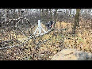 Timeless Fence down!