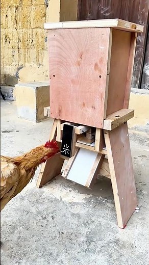 DIY Chicken Feeder: Simple design that effectively saves feed and reduces waste