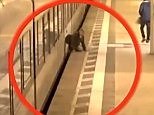 Man is spun around as he gets stuck between train and platform