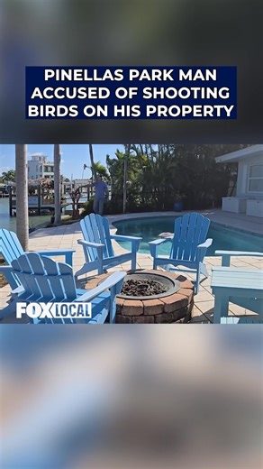 429K views · 4.6K reactions | A Pinellas Park man allegedly shot and killed a great blue heron and a mallard duck that were on his property, according to the Florida Wildlife Commission. A video taken by a neighbor shows the man being confronted about the shooting before FWC officials arrived. READ MORE: https://tinyurl.com/4b4mvh44 | FOX 13 News - Tampa Bay | Facebook