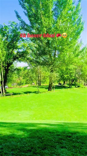 #foryoupage Da Tik Tok Badmasha 🥹@SalmanخAn🥀 @🥀S.K.OKASHA 🫀 @♛𝑺𝒊𝒍𝒆𝒏𝒕_____𝑩𝒐𝒙𝒆𝒓🦅 @Usman Ghani @Mansoor Boxer 🔥 @koko boxer @♛:S̶ A̶ R̶ K̶ A̶ R̶ :333:♛ @⚔️🦅 BOXER 🦅⚔️ @🇵🇰Chuta____king💪 @Jahangir boxer 👑🇵🇰