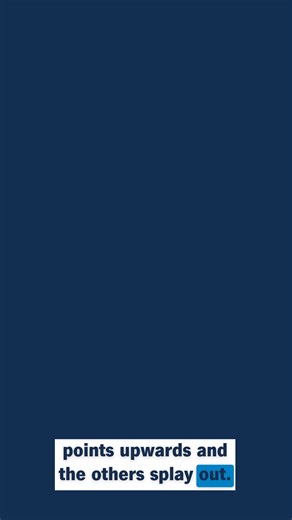 1.9K views | Your baby has a lot of new reflexes. You’re both likely...