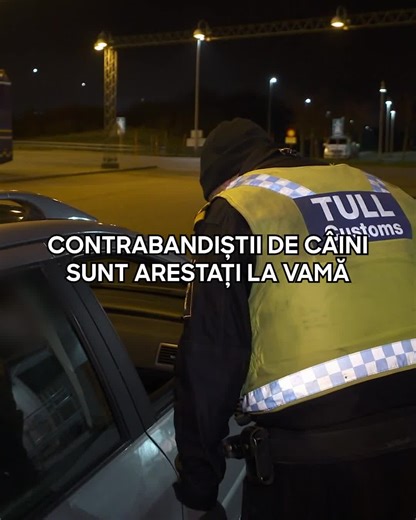 Discovery Channel România pe TikTok