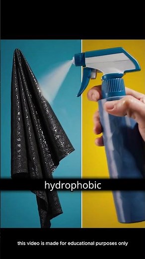The Lotus Effect: Nature’s Secret to Staying Clean & Inspiring Hydrophobic Sprays #science #ytshorts