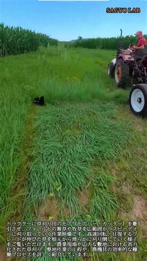 トラクター牽引式モアによる広範囲の効率的な草刈り作業 #worker #process #tractor #mower #agriculture