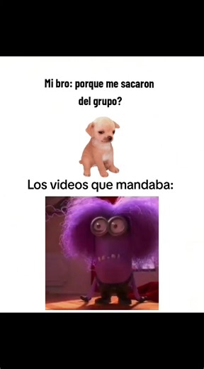 Mi bro: ¿por qué me sacaron del grupo? — Meme de Mi unicornio y Minions