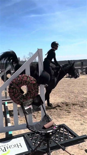 Me and pepper locked in for the chase me Charlie