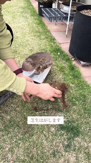地下茎で増える雑草を剥がす方法