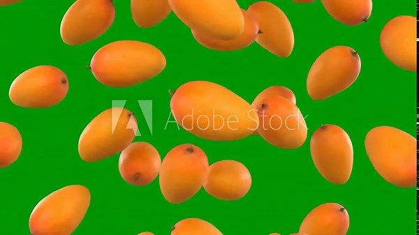 Mango Fruit Rain: Animated Falling Mangoes on Green Screen Background for Chroma Key Effects
