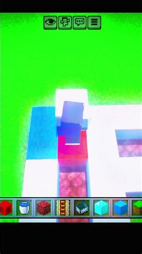 The 10 RAREST Minecraft Items