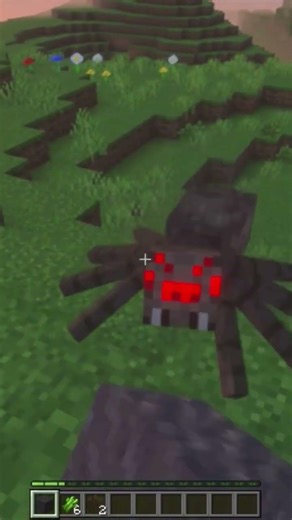 Why won’t Minecraft spiders leave me alone 😭 #minecraft #minecraftshorts #minecraftsurvival