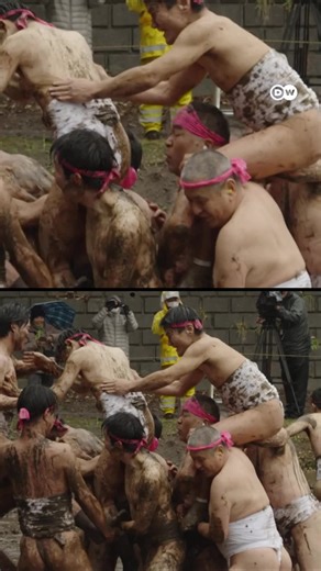 Japanese Mud Wrestling Tradition for Good Harvests