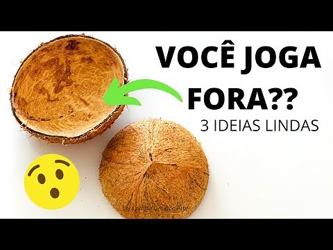 COCONUT NUTS: 3 beautiful ideas for CREATIVE CRAFTS Compartilhando Arte