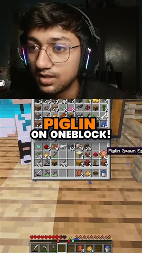 PIGLIN ON ONEBLOCK!!