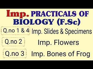 Important Practicals Of Biology (F.Sc) || Important Questions Of Biology Practical (Class 11 & 12)