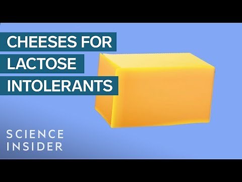 Cheeses You Can Still Eat If You’re Lactose Intolerant