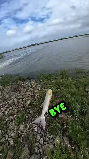 ThE oNe ThaT GoT AwAy 🎣✌️