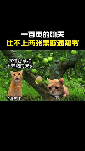 一百页的聊天，比不上两张一样的录取通知书#cheems #cheems小剧场 #搞笑 #funny #熱門