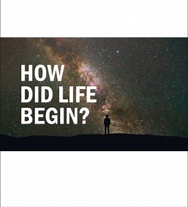 2.7K views · 153 reactions | LIFE DEMANDS A LIFE-GIVER The origin of...