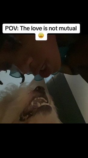 Best in looking for trouble 😂😂🤣. #waterchallange #millie #tyla #petsoftiktok #dogsoftiktok #fyp #foryou #viral #trending