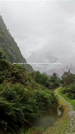 2.5K views · 73 reactions | It rains 182 days of the year here on the...