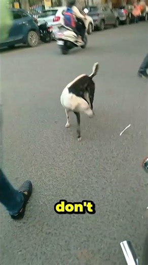 Don't Check The Sound..😱‼️