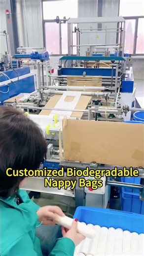 Inside a Compostable Nappy Bag Factory