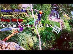 How Much do Tree Limbs Weigh?