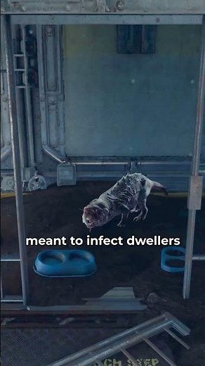 Fallout 4: Vault 81 Lore #fallout #falloutlore #fallout4 #gaming #falloutshorts