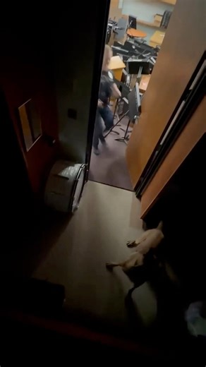 821K views · 31K reactions | Training day is the best day with K9 Rip! He was playing a little game of hide and seek with K9 Blue’s Dad! Fun fact: Rip and his dad match energy! #SupportLocalHeroes #RacinePolicemansBall #Ripard #Rip #k9training #Rippy #caledonia #k9unit #matchenergy | Racine Policeman's Ball | Facebook