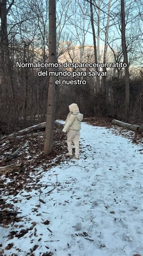 Inspirational Quotes for Positive Vibes and Motivation