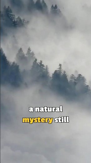 Can Fish REALLY Fall From the Sky?