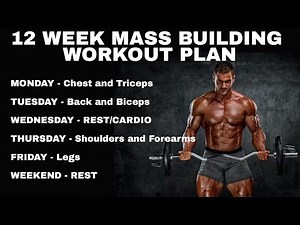 12 Week Mass Building Workout Program