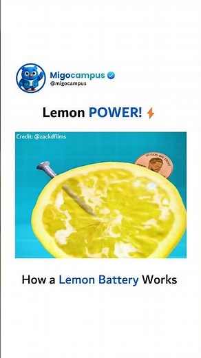 How A Lemon Battery Works 🤔 | Migocampus