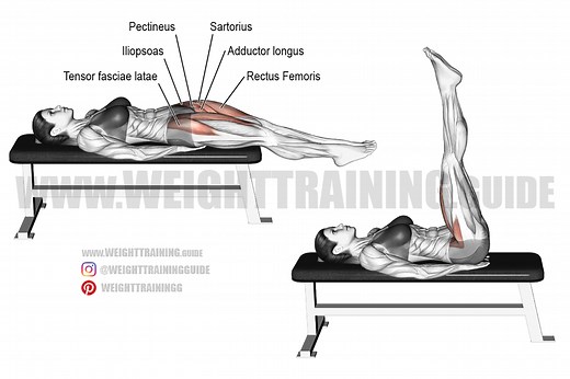 Lying straight leg raise exercise instructions and video