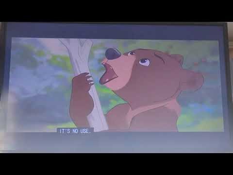 Brother Bear Kenai Meets Koda