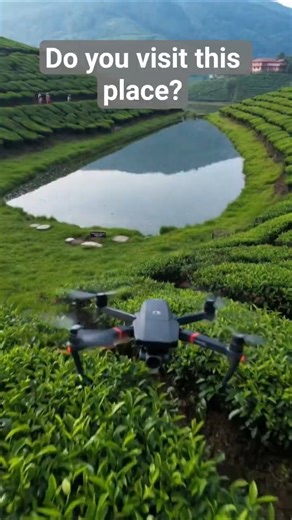 Lakeview #teaplant #explorepage #shorts #dheexplore #trending #fyp #droneviewhd #munnartour