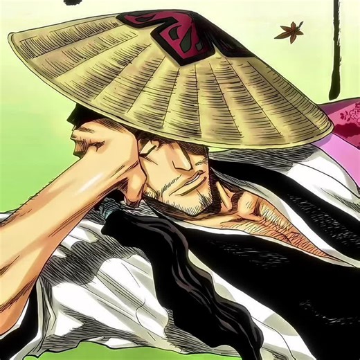Exploring Shunsui's Character in Bleach