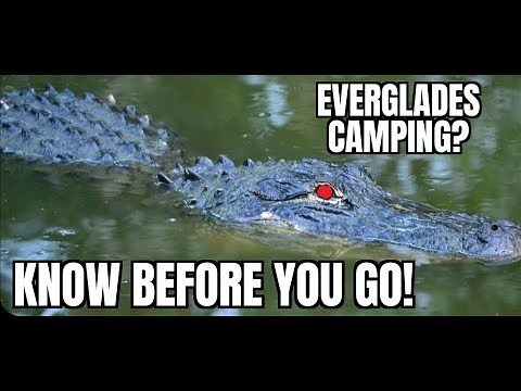Everglades Camping? Know before you go. Long Pine Key Campground Everglades, Florida Review.