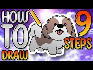 HOW TO DRAW A SHIH TZU