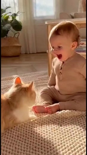 Cuteness Explosion Cute Baby and Cute Cat Chat Like Best Friends! #baby #cat | Chan Reaksa
