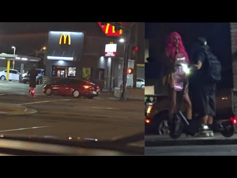 Lizard Hunter Returns to 27th Ave