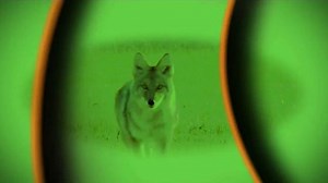 Primos Alpha Dogg Electronic Caller TV Spot, 'Individual Sounds'