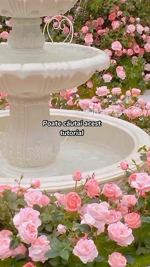 Tutorial cu orice imagine mișcând-o pe ecran🐸#froggy #pentrutine #letisque