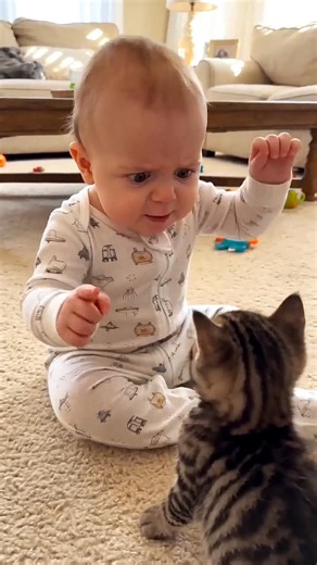 Baby Meets Tiny Kitten for the First Time… Cutest Reaction Ever! 🐱👶❤️ #usa #baby #shortsfeed
