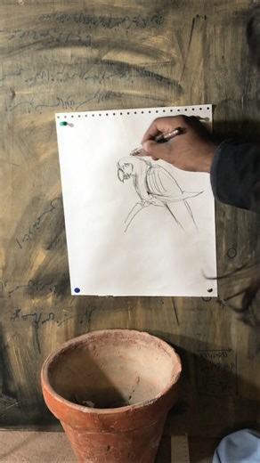 How to Draw a Parrot 🦜 | Easy Line Drawing #Shorts