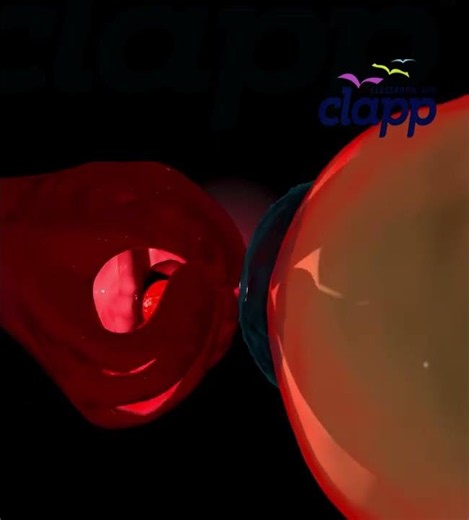 Ovulation Explained 🤯 Release of Egg from Ovary | 3D Animation #shorts