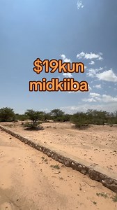 4.2K views · 18 reactions | Rasmi Real estate on Reels | Facebook