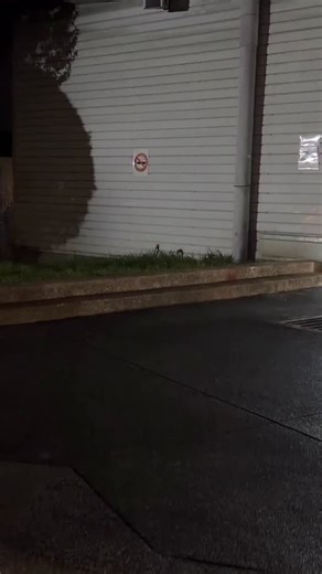 赤鬼伯伯akaoni on Instagram: "別跑啊😈 / Logitech G Pro X2 Superstrike 電競滑鼠強勢登場🖱 業界創新磁微動 RAPID TRIGGER技術 ⭐ HITS 模擬觸發：點擊更快、更靈敏 ⭐ 可調整觸發點：依遊戲調整手感 ⭐ 超低延遲：最高 8,000Hz 回報率 ⭐ HERO 2 感測器：精準、快速追蹤 ⭐ 65g 輕量設計：長時間使用不累手 這麼頂的滑鼠 必須要推廣給更多人知道吧👻 @logitechg #LogitechG #PROx2superstrike"