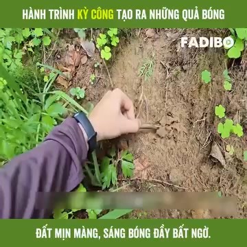 Biến đất thành nghệ thuật Hành trình kỳ công tạo ra những quả bóng đất mịn màng, sáng bóng đầy bất ngờ | Delta Cell | Facebook
